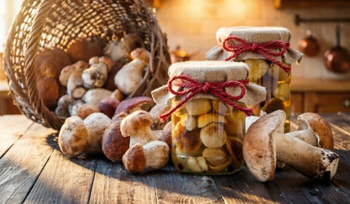 Маринованные грибы на зиму: 5 рецептов заготовок