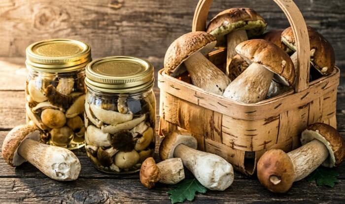 Маринованные грибы на зиму: 5 рецептов заготовок