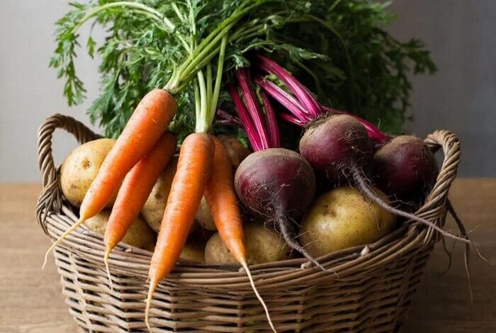 Правила хранения продуктов: секреты свежести овощей и фруктов